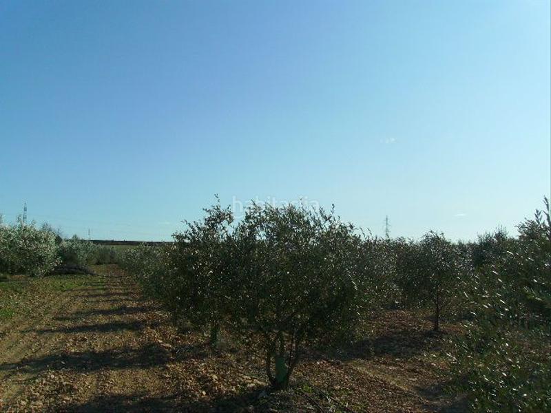 Foto 10c35041-7e57-468d-b652-9c75fa9258d6. Rural plot in Vila-rodona