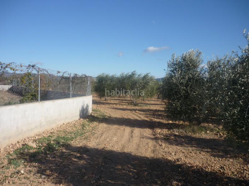 Foto 1861f36d-0f42-4967-b88c-c6d51177ad6b. Rural plot in Vila-rodona