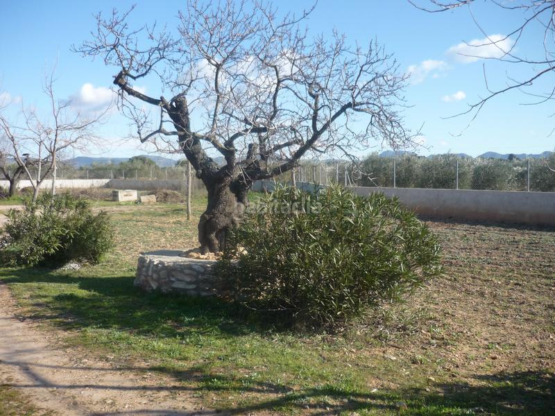 Foto 1d513e7f-d758-4ccf-90c3-228703ba5bf7. Rural plot in Vila-rodona