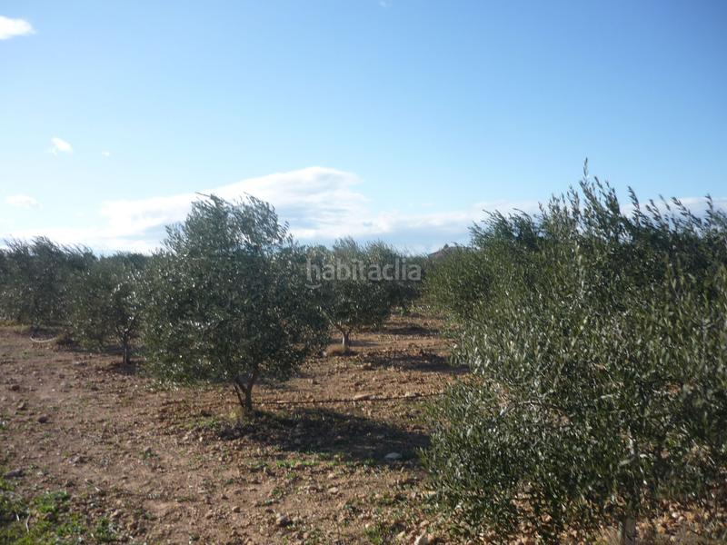 Foto 20017e2d-3efc-4069-81e3-4d37606c0611. Rural plot in Vila-rodona