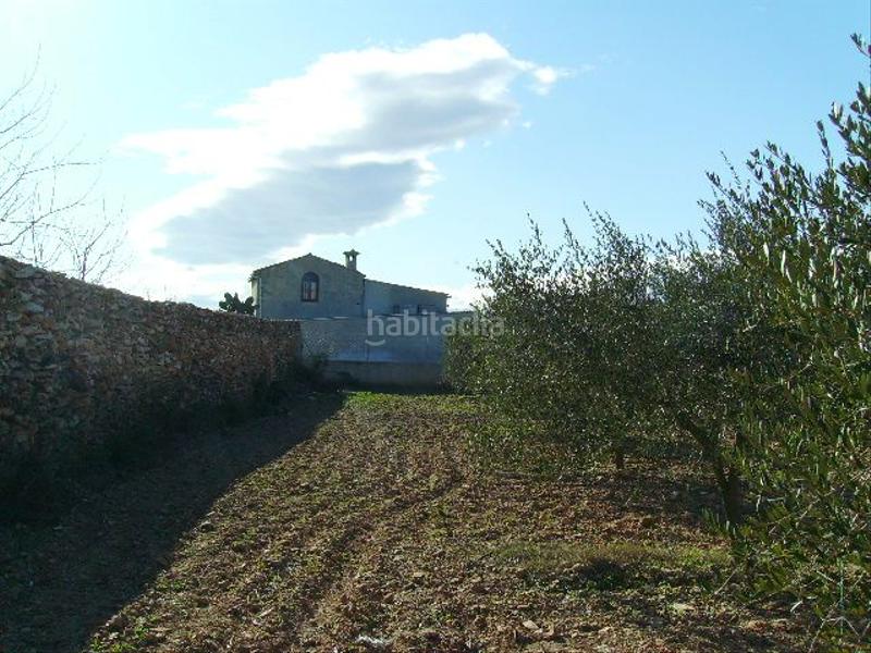 Foto 211b5719-05d0-478c-9a52-30762773eb65. Rural plot in Vila-rodona