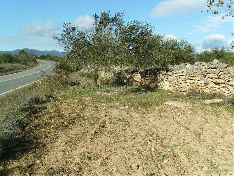 Foto 357339b7-5843-4295-86a9-4339e89bb07a. Rural plot in Vila-rodona