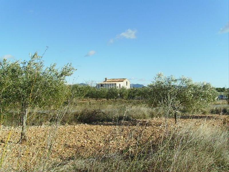 Foto 398ef37a-1cce-4a3c-81c3-a7602ca7b6f9. Rural plot in Vila-rodona