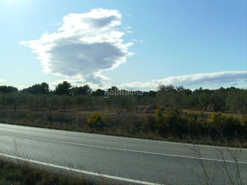 Foto 3f63e600-5e6f-47da-b462-034647312d39. Rural plot in Vila-rodona