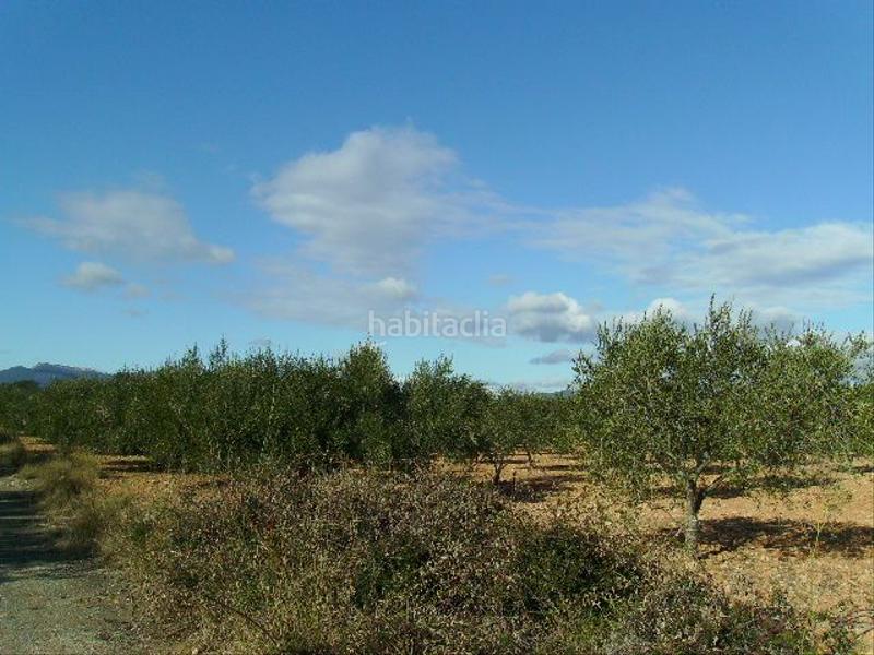 Foto 47992b98-3488-4a85-9538-f02aa7bb6eda. Rural plot in Vila-rodona