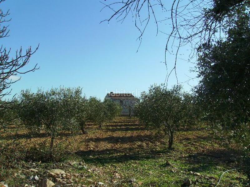 Foto 4cb8d928-12bb-487a-8f29-7b90124fa57c. Rural plot in Vila-rodona