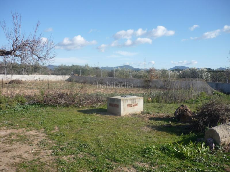 Foto 54ff1b1a-bfa9-4121-8f10-e4ec67b73a73. Rural plot in Vila-rodona