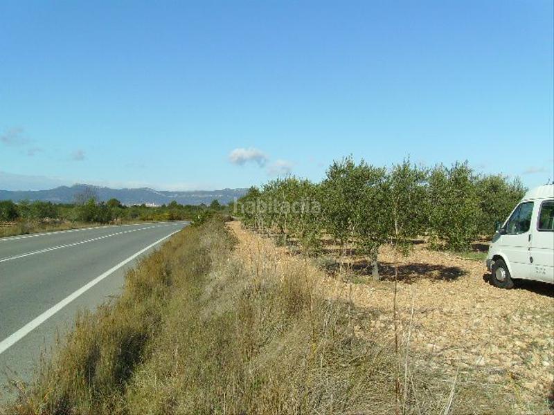Foto 56f01cce-00f3-4935-aecd-766b1a391640. Rural plot in Vila-rodona