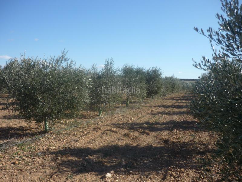 Foto 60567046-a1c9-47f6-8308-03e67192885a. Rural plot in Vila-rodona