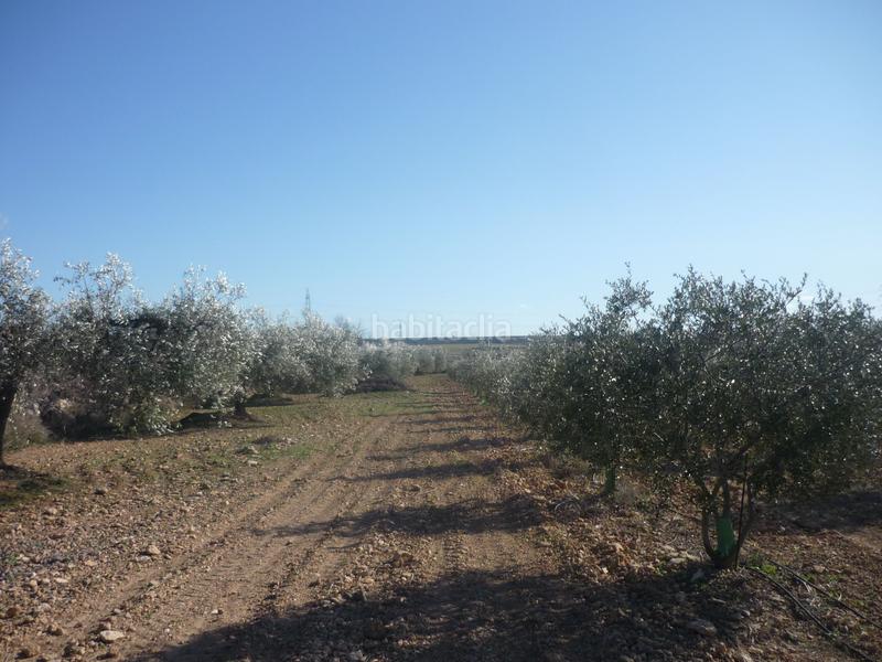 Foto 6ac93e94-00dc-46d7-b187-474c05d282aa. Rural plot in Vila-rodona