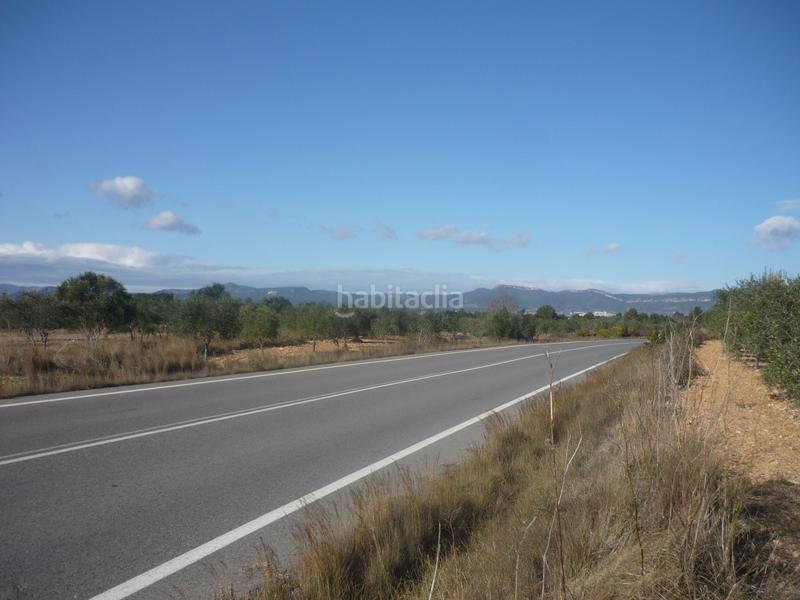 Foto 7863c248-dadf-4207-ac20-c3ceedf34e4b. Rural plot in Vila-rodona