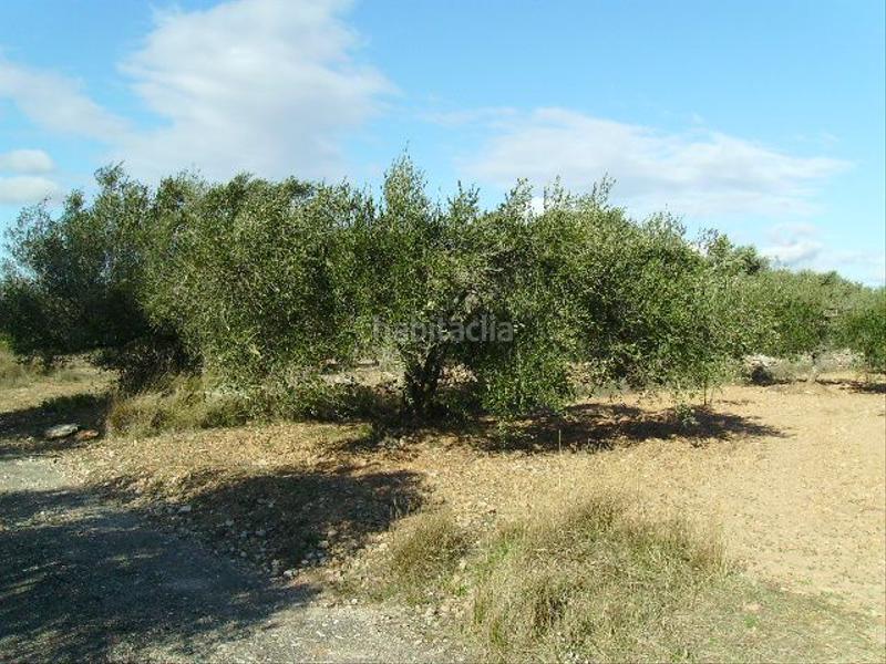 Foto 7ec45d02-8587-442c-92d0-963582cb94b3. Rural plot in Vila-rodona