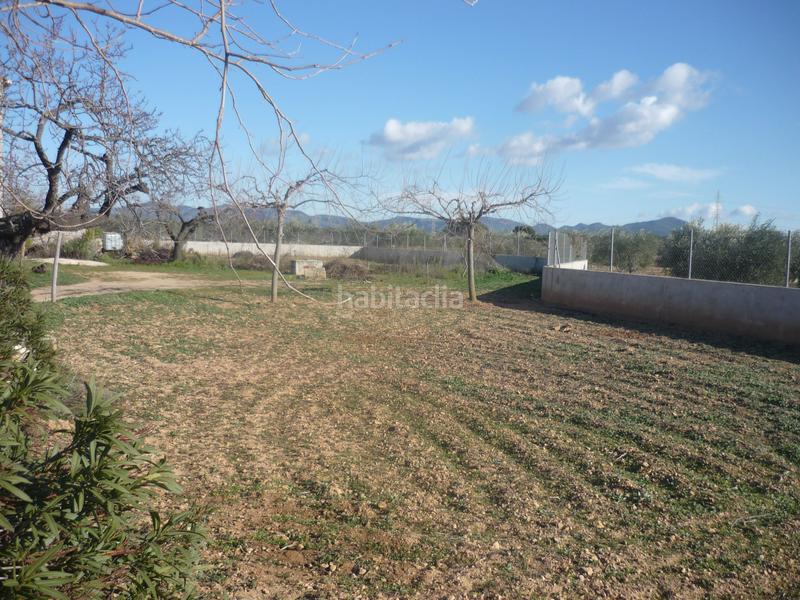 Foto 8651ea71-1955-403a-a4ef-4600bbce9a0c. Rural plot in Vila-rodona