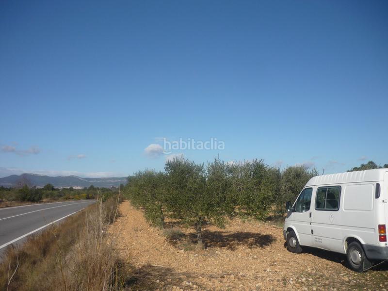 Foto 8c838147-20d2-40ce-aab7-4fbfc65577f8. Rural plot in Vila-rodona