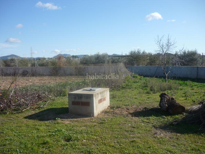 Foto 8d1c4055-51eb-4f4f-84ae-eb012907ec3a. Rural plot in Vila-rodona