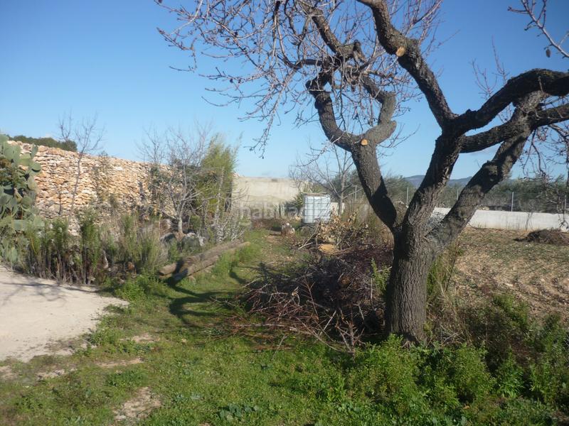 Foto a06b7753-7d5c-4d68-b260-5f9f83318d55. Rural plot in Vila-rodona