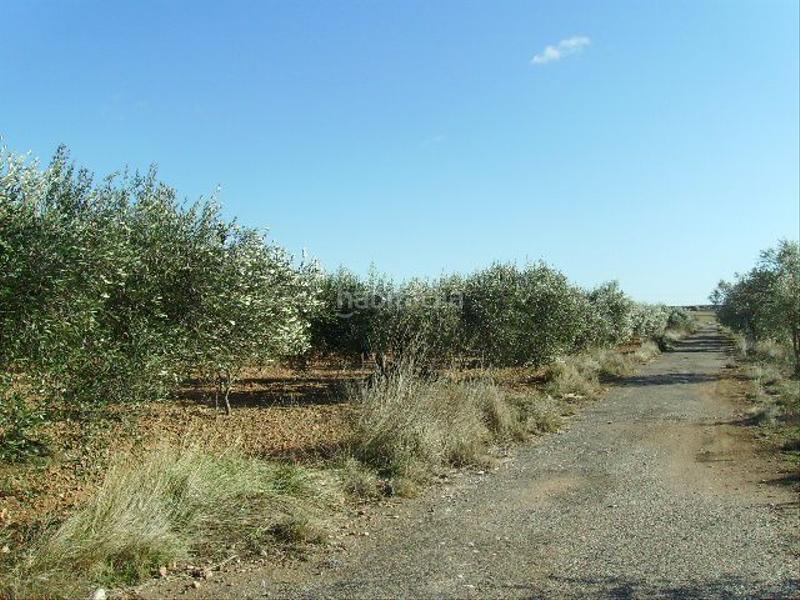 Foto a4f1c1c9-9960-4cca-b26c-7616b1968b48. Rural plot in Vila-rodona