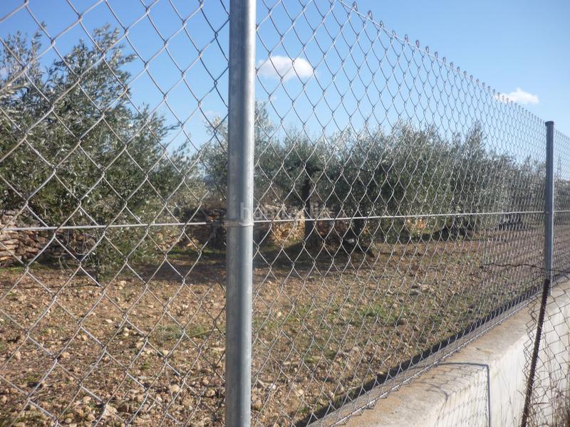 Foto c336609d-4858-4d39-9f29-e4c7baaeeba7. Rural plot in Vila-rodona