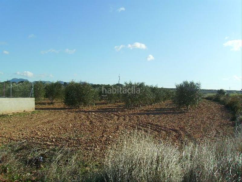 Foto c406f626-e945-4d9b-a387-f30de4245257. Rural plot in Vila-rodona