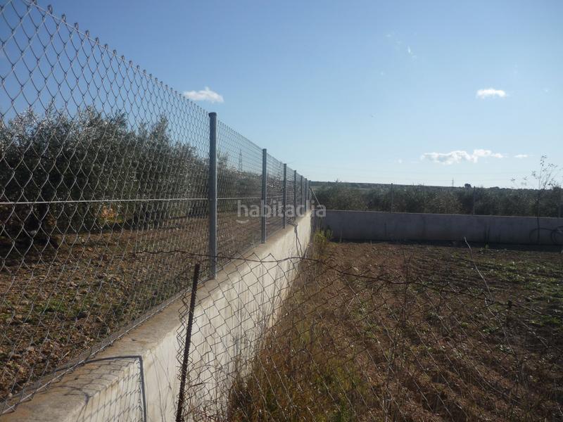 Foto c59120d0-b004-45ea-bdcf-c8be53de5dac. Rural plot in Vila-rodona