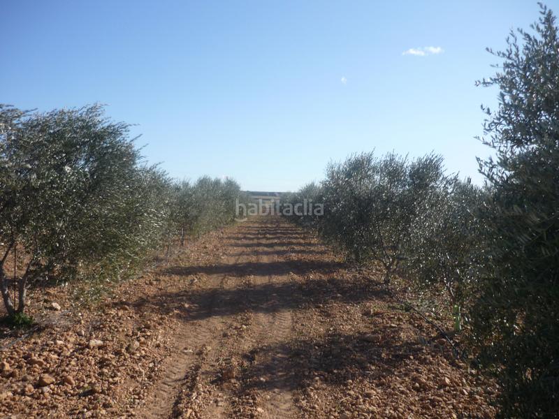 Foto d034f7ed-c1cc-4672-9533-193648d23809. Rural plot in Vila-rodona