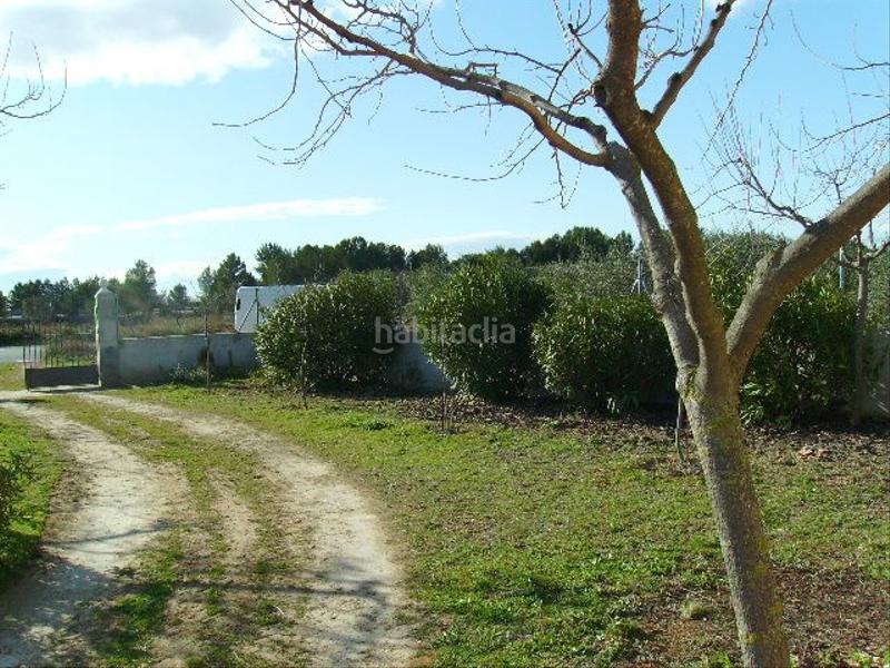 Foto d4e09027-25a2-4398-8762-4426b4949d7f. Rural plot in Vila-rodona
