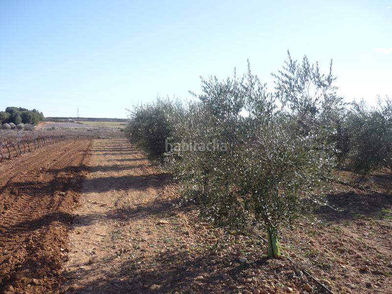 Foto e867a71d-1adf-4dcf-accd-ee284b1bd9d3. Rural plot in Vila-rodona