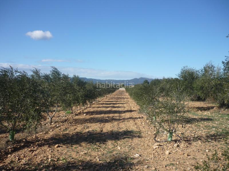 Foto f4e62e28-102c-4226-bb1b-ca5e7df34cb9. Rural plot in Vila-rodona