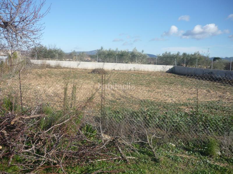 Foto f8550733-cfe8-4da9-be15-dacf2a892ba1. Rural plot in Vila-rodona
