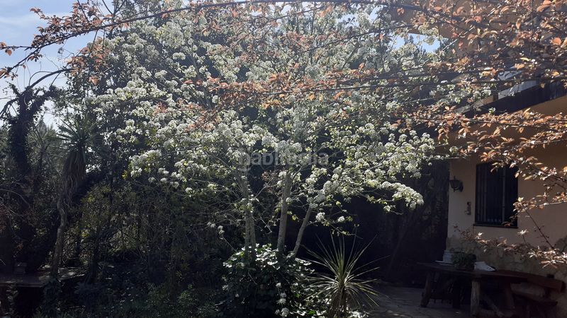 Foto 57891e9c-3c49-4555-b781-e353c8276d12. Xalet amb xemeneia calefacció aparcament piscina a Canyelles