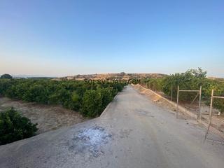 Mas à Jacarilla. Finca en jacarilla de 38 tahúllas en producción con balsa, almac