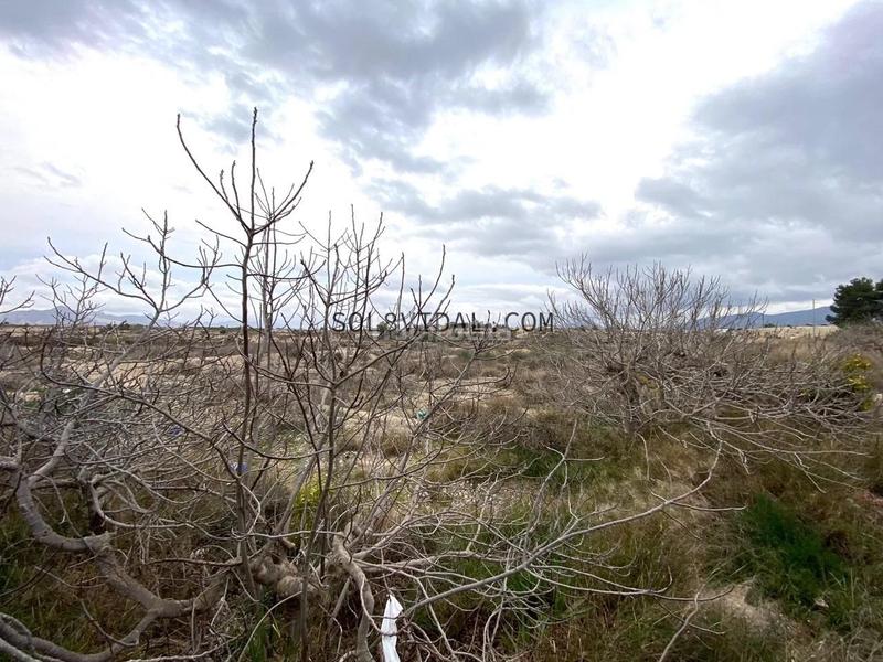 Foto 242b4fd3-f429-4136-90d9-985dff93d478. Xalet amb aparcament piscina a Fortuna