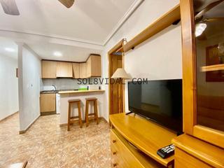 Lloguer Apartament a Orihuela Ciudad. Sol8vidal alquila estudio en orihuela