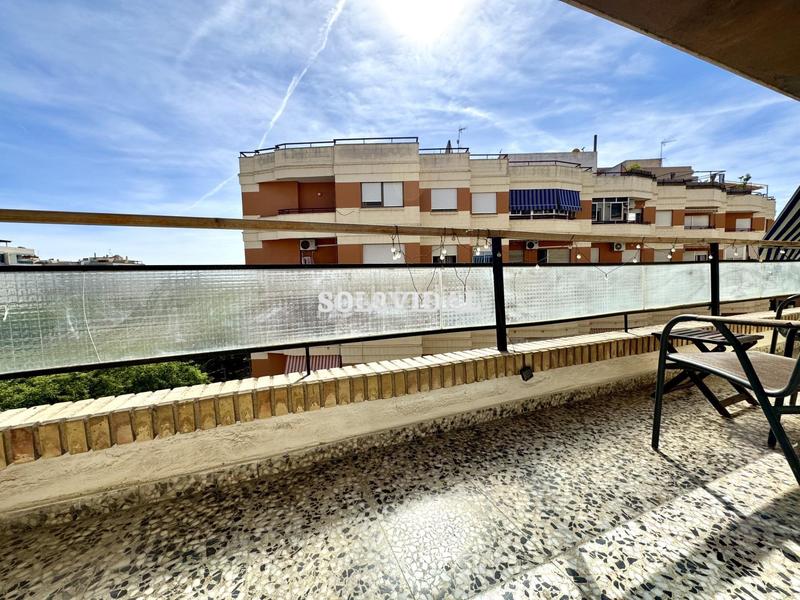 Foto e929e311-ffdb-44b9-a3b6-f24f462619f5. Alquiler piso sol8vidal alquila piso centro en Orihuela ciudad Orihuela