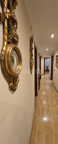 Foto feedfd4a-6881-4f4e-b4e0-3b80c702e50d. Pis a Orihuela ciudad Orihuela