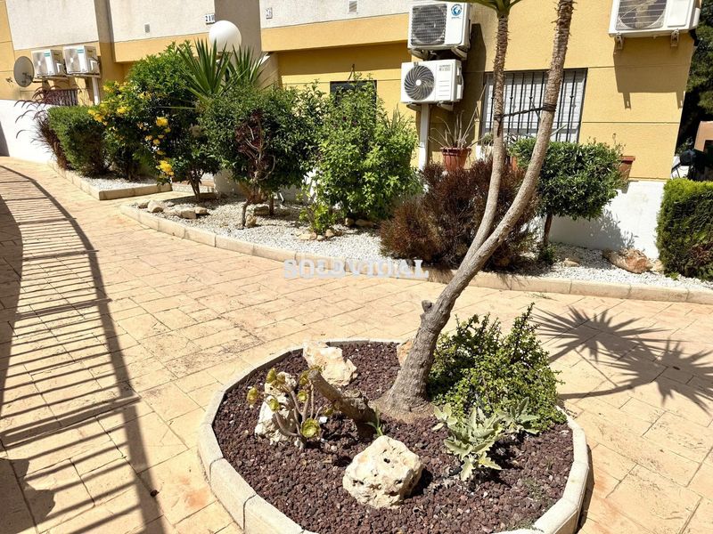 Foto 007a2c95-c7b6-4a68-96d2-aa6556f5045e. Casa amb piscina a Cox