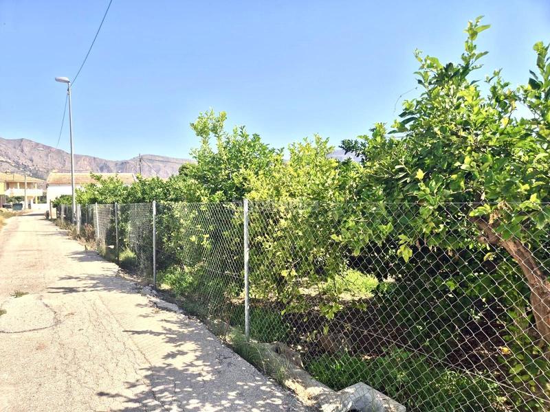 Foto 7d8de1bc-3a3c-48b7-ba39-157868b83001. Chalet avec parking dans Desamparados - Hurchillo - Torremendo Orihuela