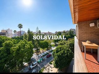 Rent Flat  Avenida españa. Piso haciendo esquina en la glorieta gabriel miró de orihuela