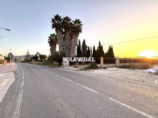 Fondo rustico in Orihuela Ciudad