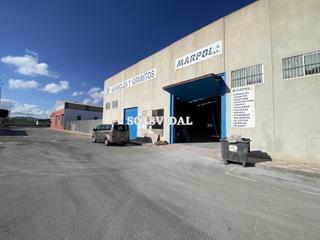 Lloguer Nau industrial a Jacarilla. Nave industrial de 800 m2 en jacarilla
