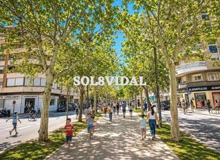 Pis a Orihuela Ciudad