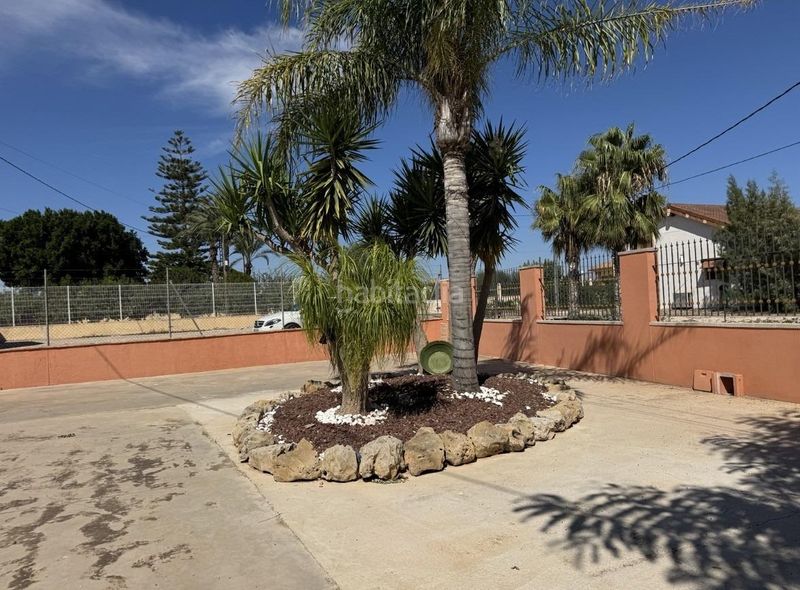 Foto 1b84ce9e-f79d-4844-bb78-fcf0cffe3ca9. Alquiler chalet dos chalets con piscina, la matanza, en Orihuela
