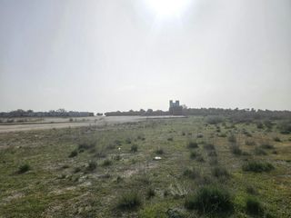 Residential Plot in Altos del Olivar-El Caracol. Parcela en los blancares