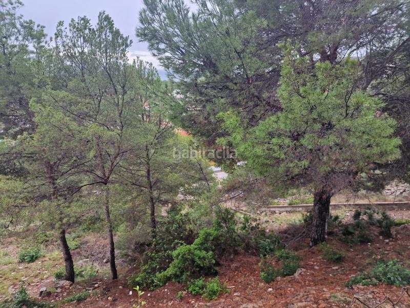 Foto 2d5ce1d4-1737-40f3-84de-d92a9cecc04c. Terreno residenziale in carrer garrofer 189 in El Balcó-Jaume I Oropesa del Mar