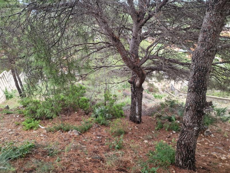 Foto edd096a4-000e-43cc-ba90-337bf2fdd120. Terreno residenziale in carrer garrofer 189 in El Balcó-Jaume I Oropesa del Mar