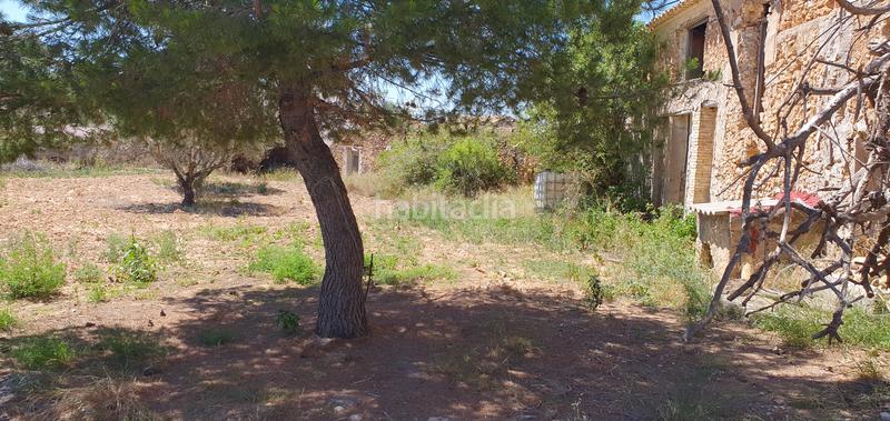 Foto 95e52db5-a3d6-4d01-9142-0e5c75d12834. Masía en plaza marín lázaro du 11 en Requena