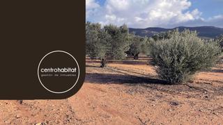 Finca rústica a Salinas. Terrenos urbanizables en venta en salinas