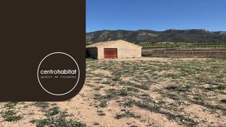 Finca rústica a Salinas. Terreno rustico con casita en venta en salinas