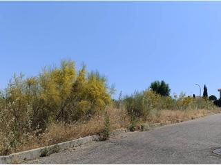 Residential Plot  Hierbabuena. Solar en venta en olas del rey