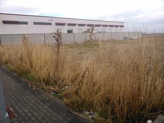 Lloguer Solar industrial  Avenida de nísperos. Alquiler de 10.000 m2 industriales pol. ind. la sendilla